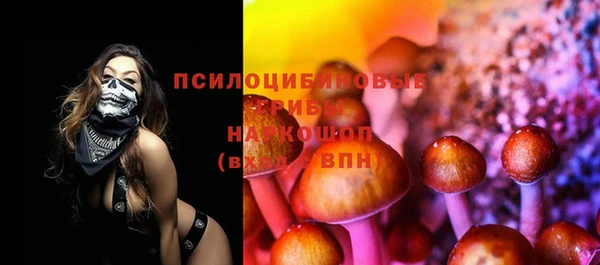 гашик Алзамай