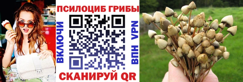 Псилоцибиновые грибы ЛСД Нефтекумск